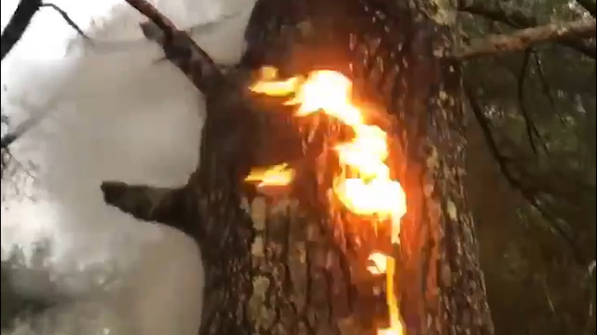 Sleepy Hollow anyone? Video filmed on July 8 by the Wales, Maine Fire Department shows how lightning sparked this fire inside of a tree during a recent storm.