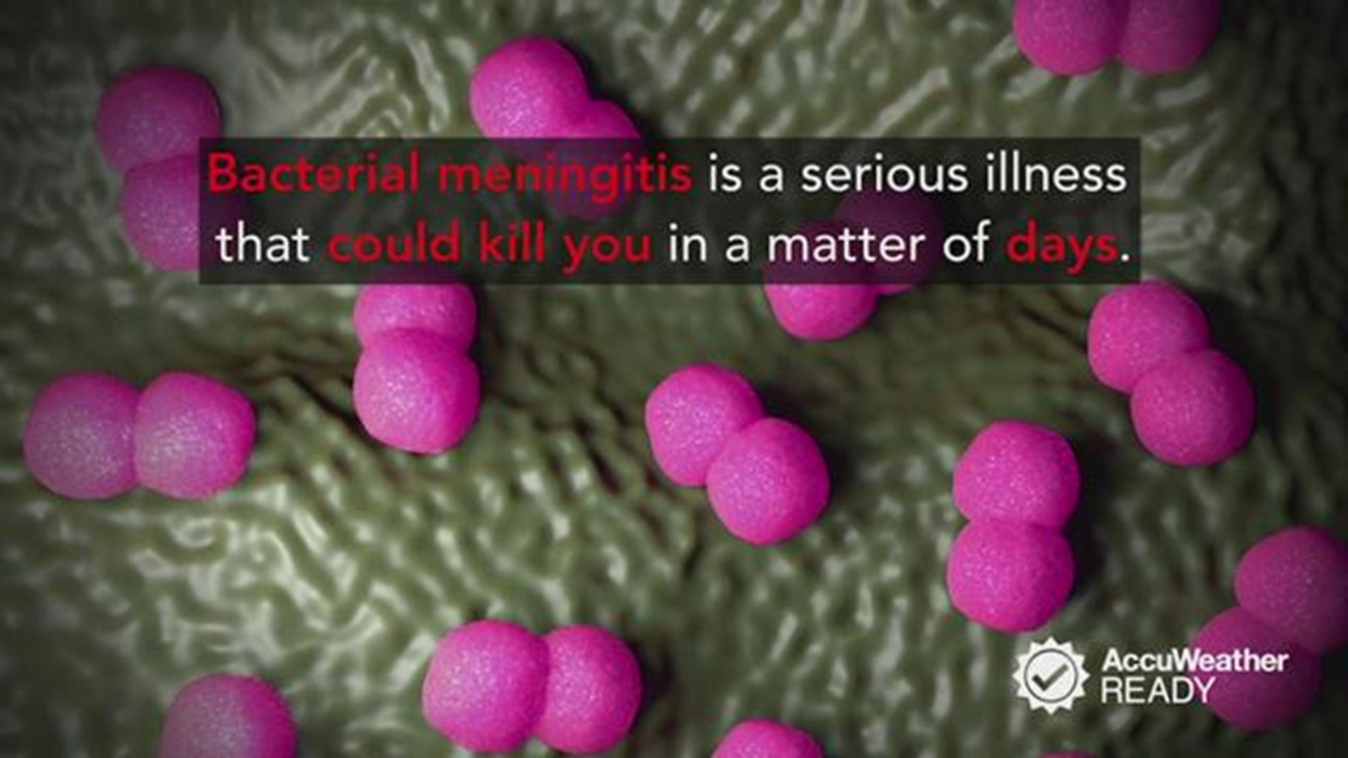 The flu and common cold aren't the only wintertime health threats you have to worry about. Research shows that cases of the potentially fatal bacterial meningitis are more likely to happen during the colder months.