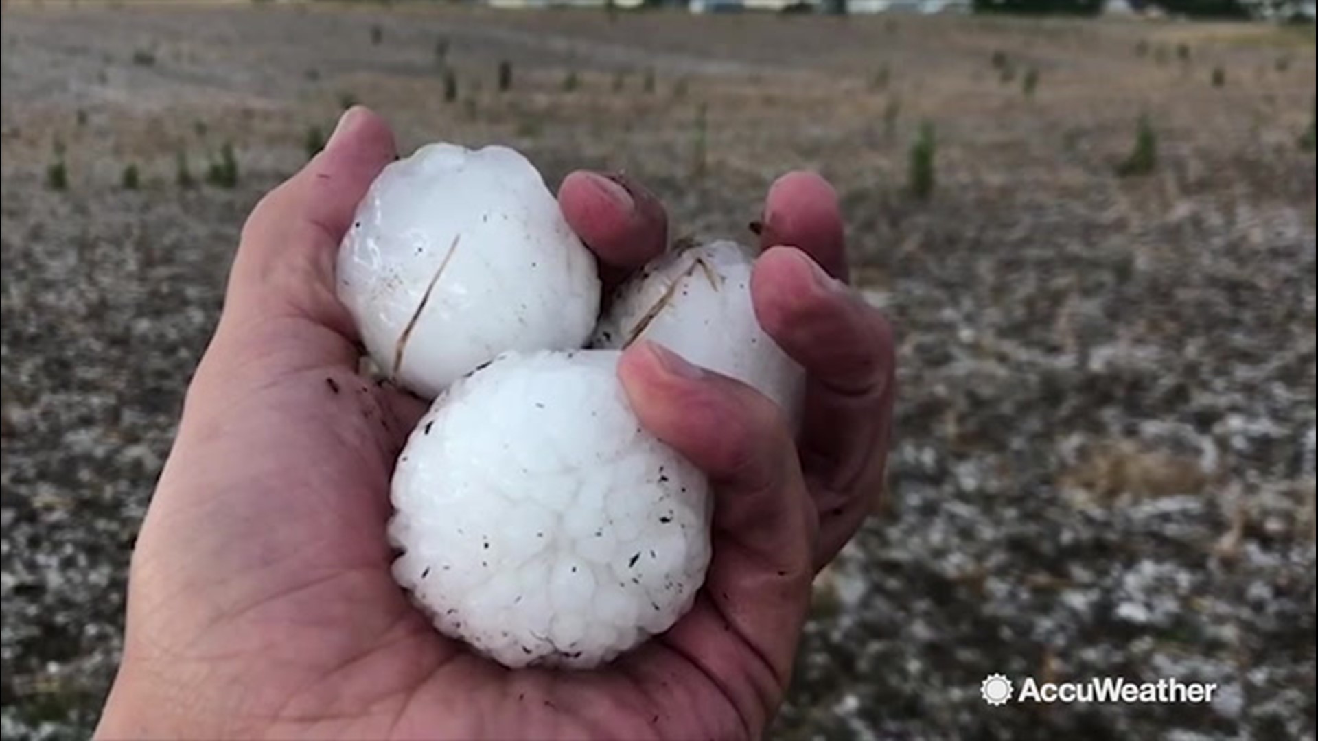 Devastating hail slammed into Strasburg and Byers, Colorado, that reached sizes larger than golf balls. Reed Timmer witnessed the storm, which occurred on Aug. 23, and explained how these massive hailstones form.