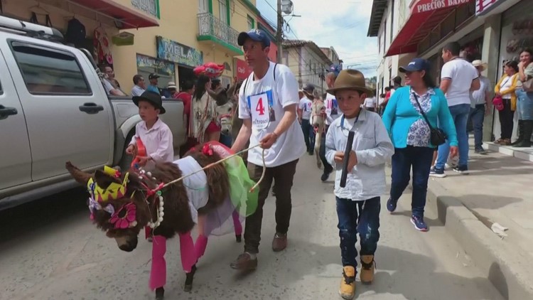 Donkeys Dress Up as People at Colombian Festival