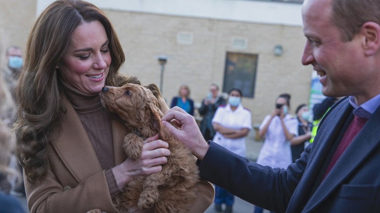 Kate Middleton Met an Adorable Pup While Traveling, Leading Her to Talk About Her Very Own Dog
