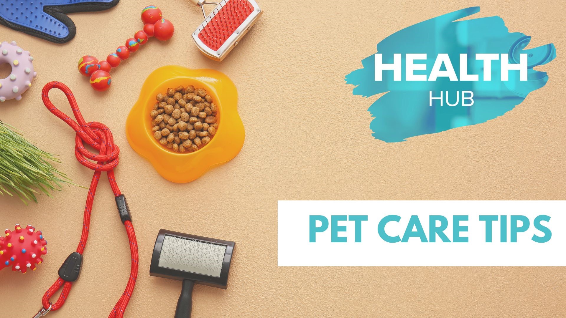 Important tips to keep your pet healthy from pet care bills to food.
