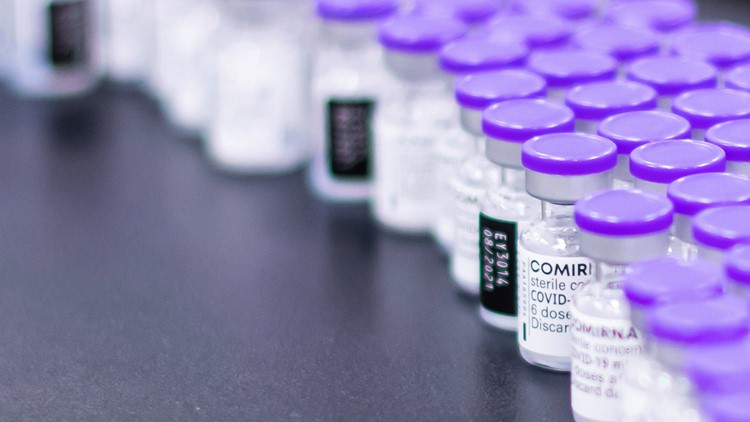 FDA advisers to debate modifying COVID vaccine for fall
