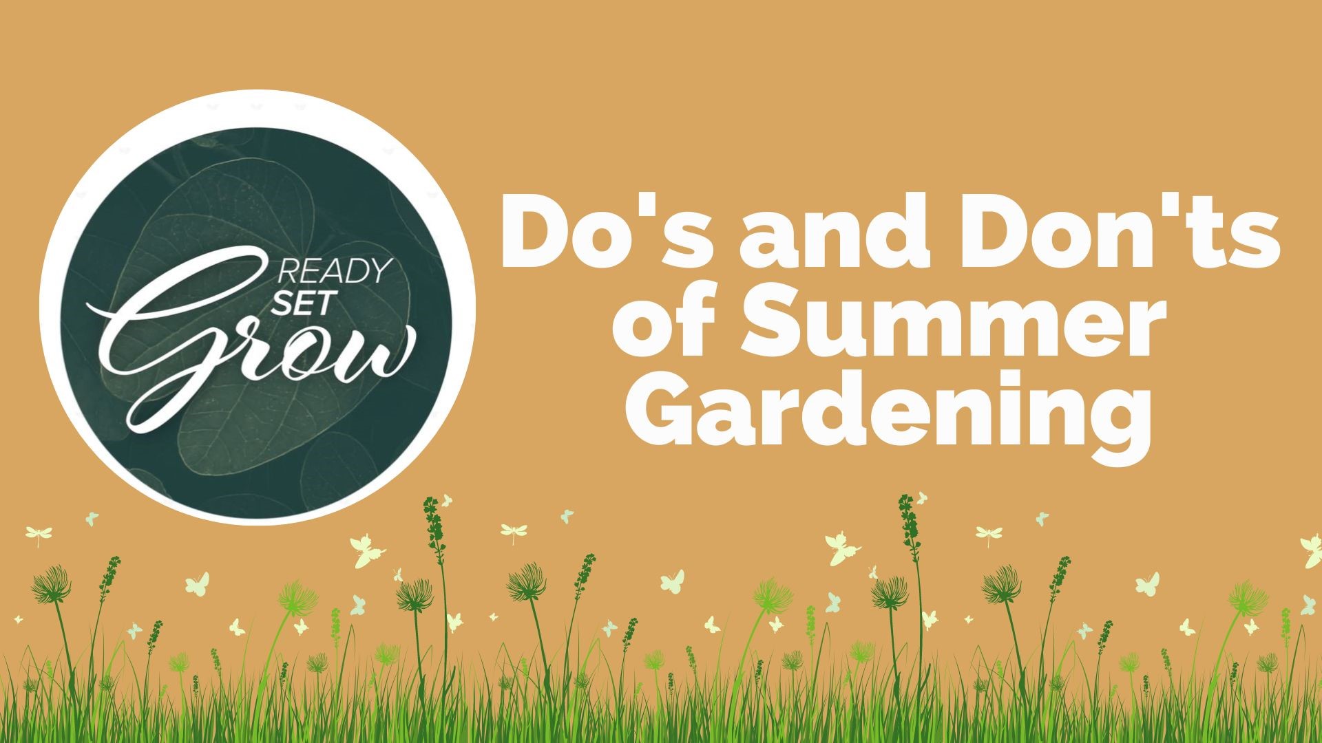 How to best take care of your garden and yard in the summer, from ways to grow grass to the mulch to avoid and the vegetables you can still grow.