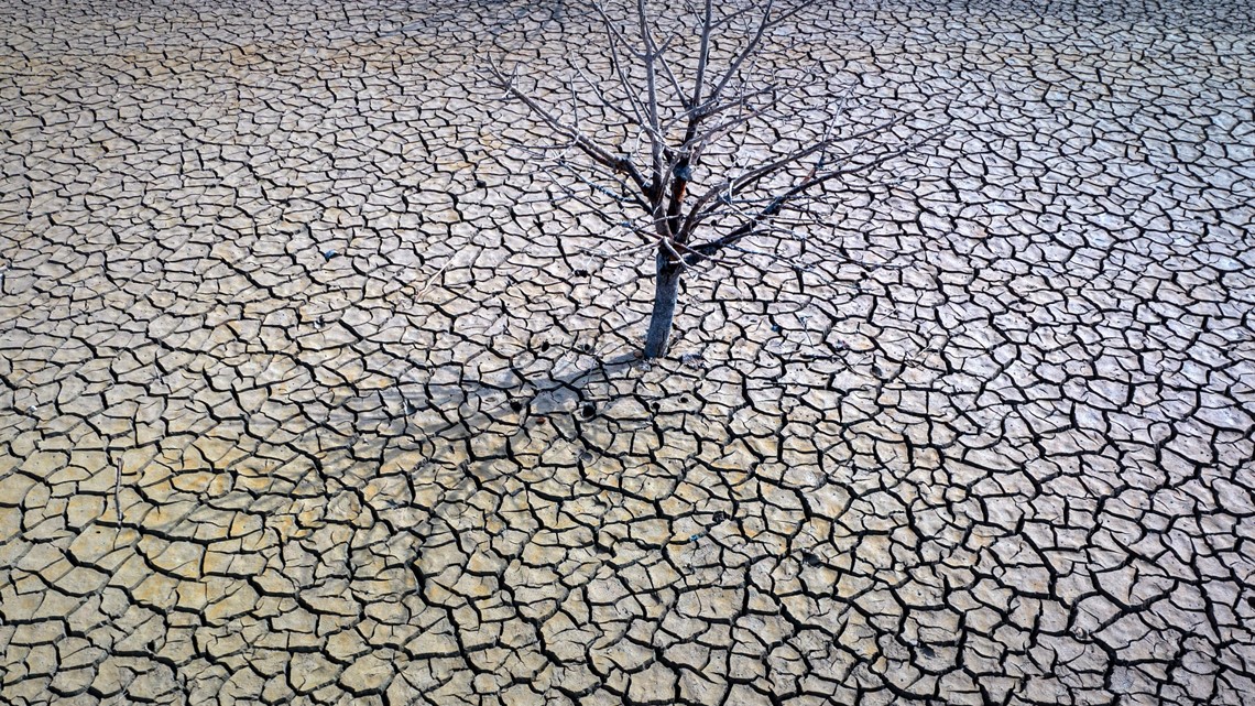 2023 was hottest year on record as Earth flirted with warming limit - Vimarsana News