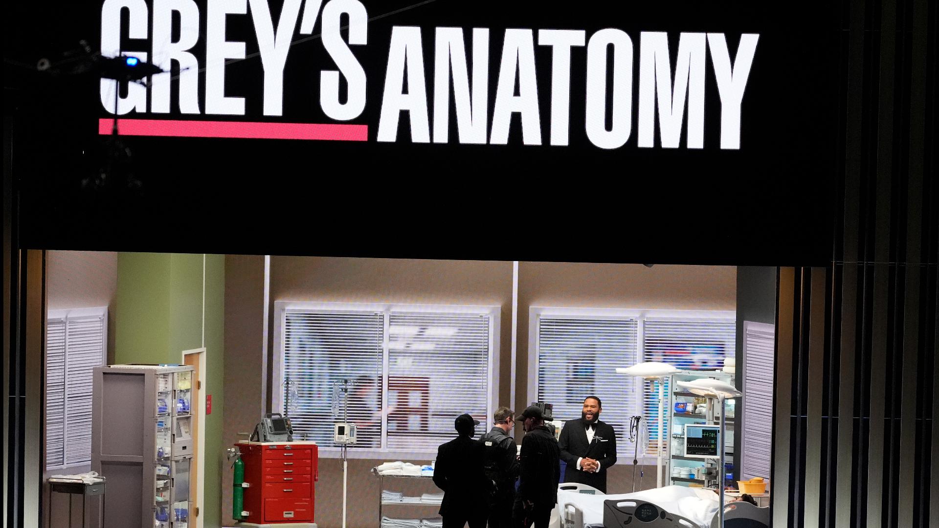 Two of 'Grey's Anatomy's' longest-running stars to exit after Season 22 ...