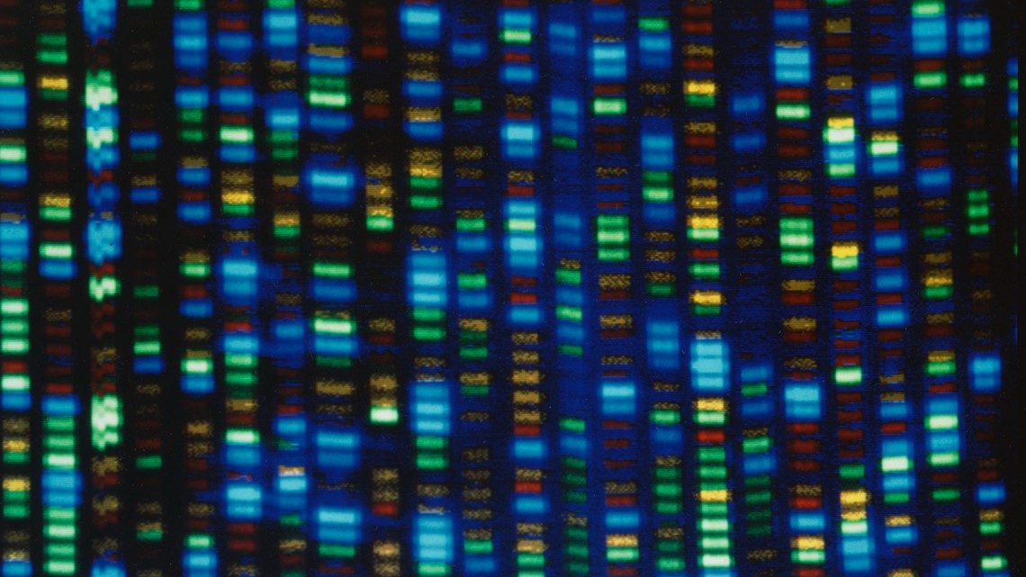 Human genome decoded fully | 12newsnow.com - Vimarsana News