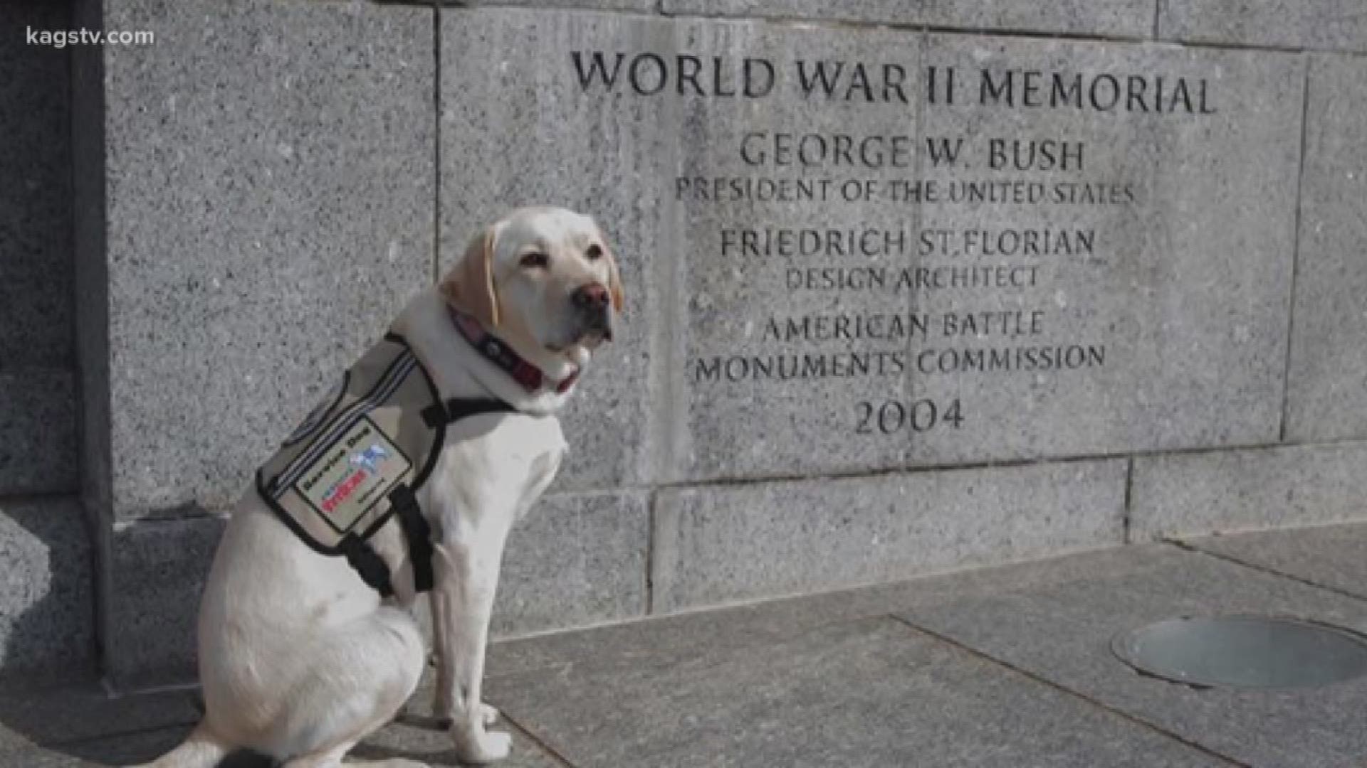 A life-size bronze statue of President George H.W. Bush’s former service dog, Sully, was unveiled Monday evening.