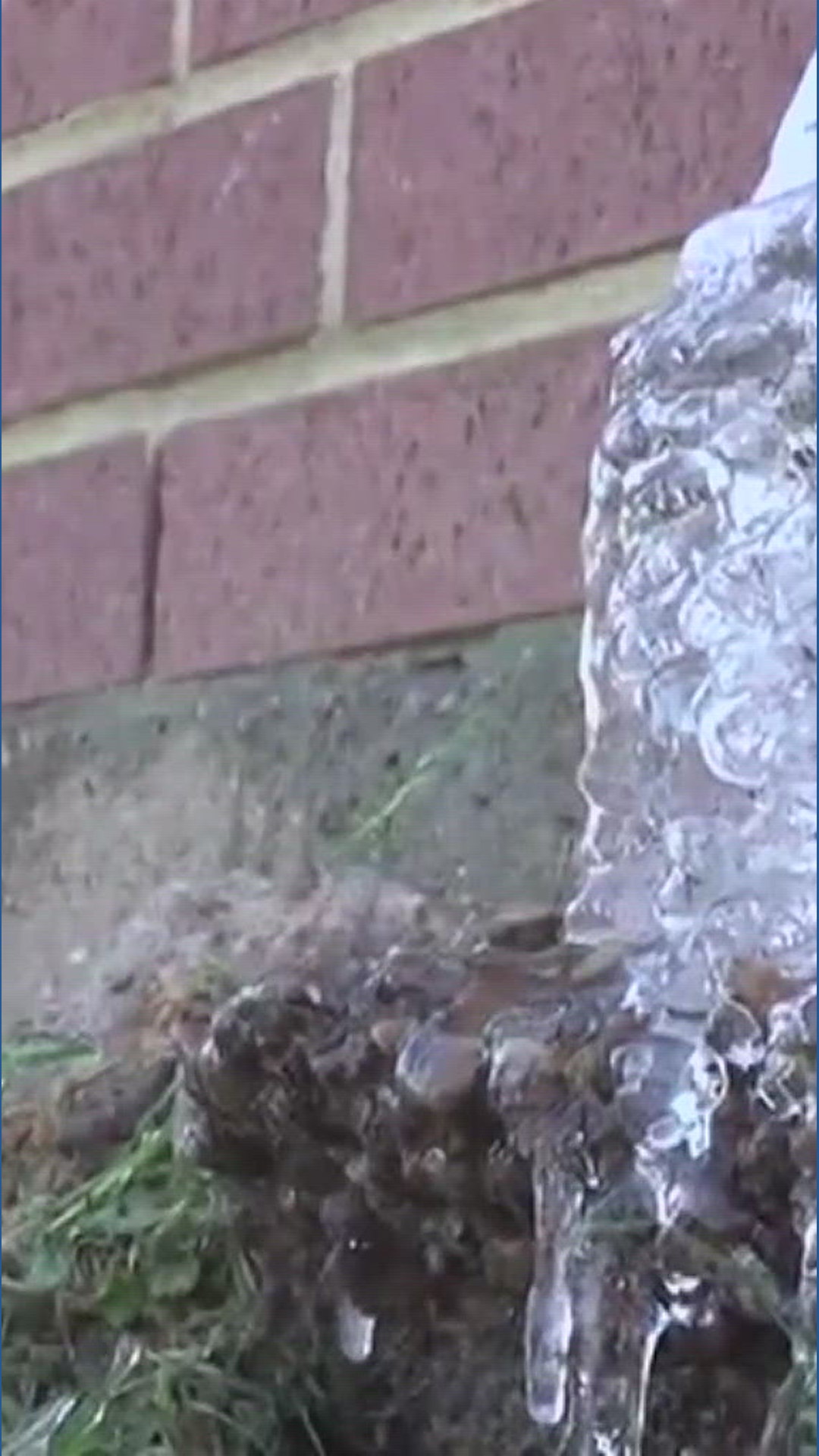 Residents urged to prepare people, pets, pipes and plants ahead of cold ...