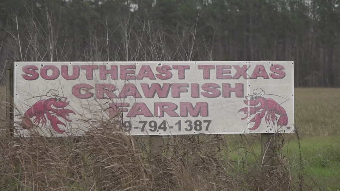 Freeze threatens Southeast Texas crawfish supply, prices set to rise