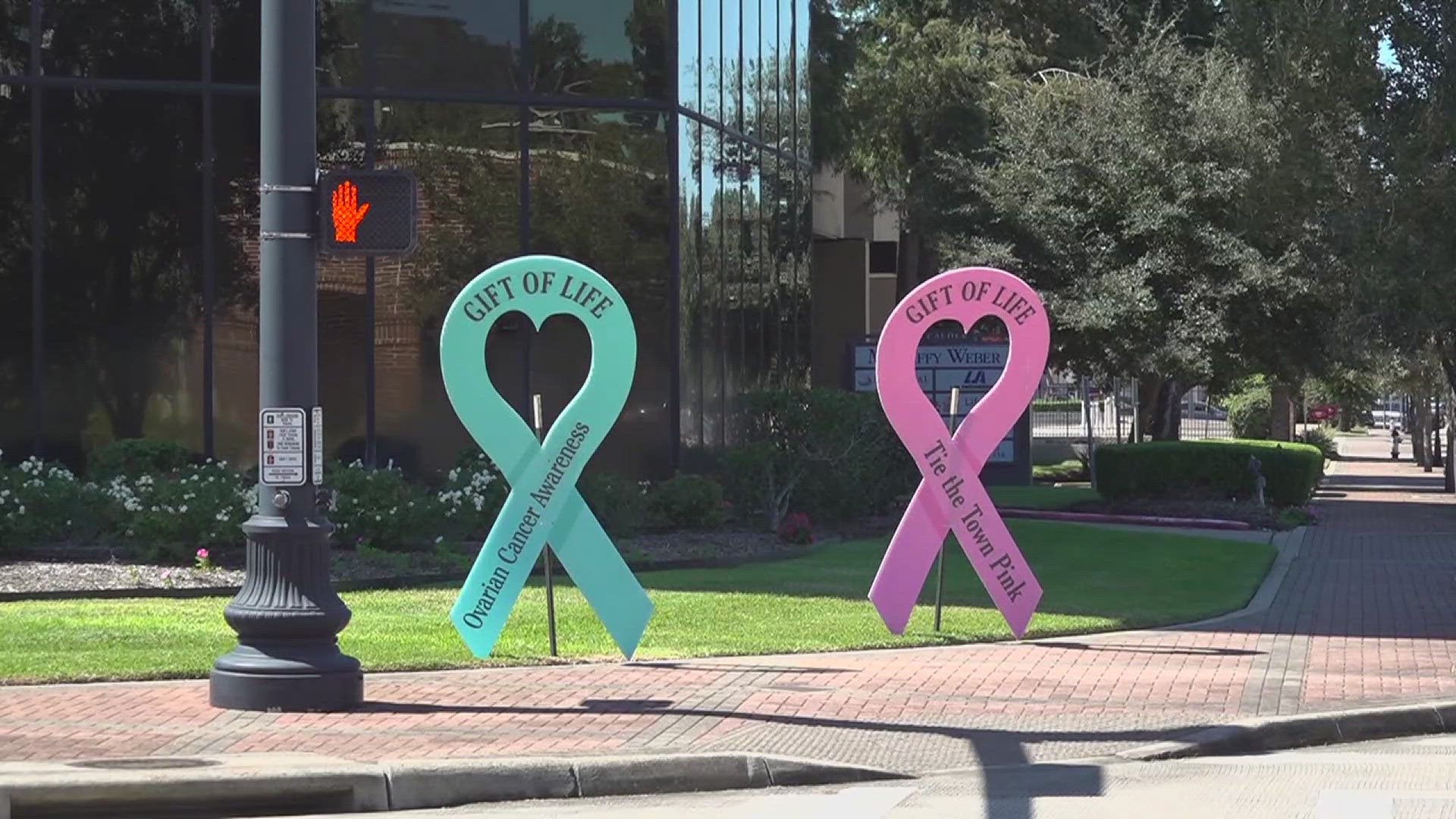 The 14th Annual Julie Richardson Procter 5K Ribbon Run will take place on Saturday, October 26 in Downtown, Beaumont.