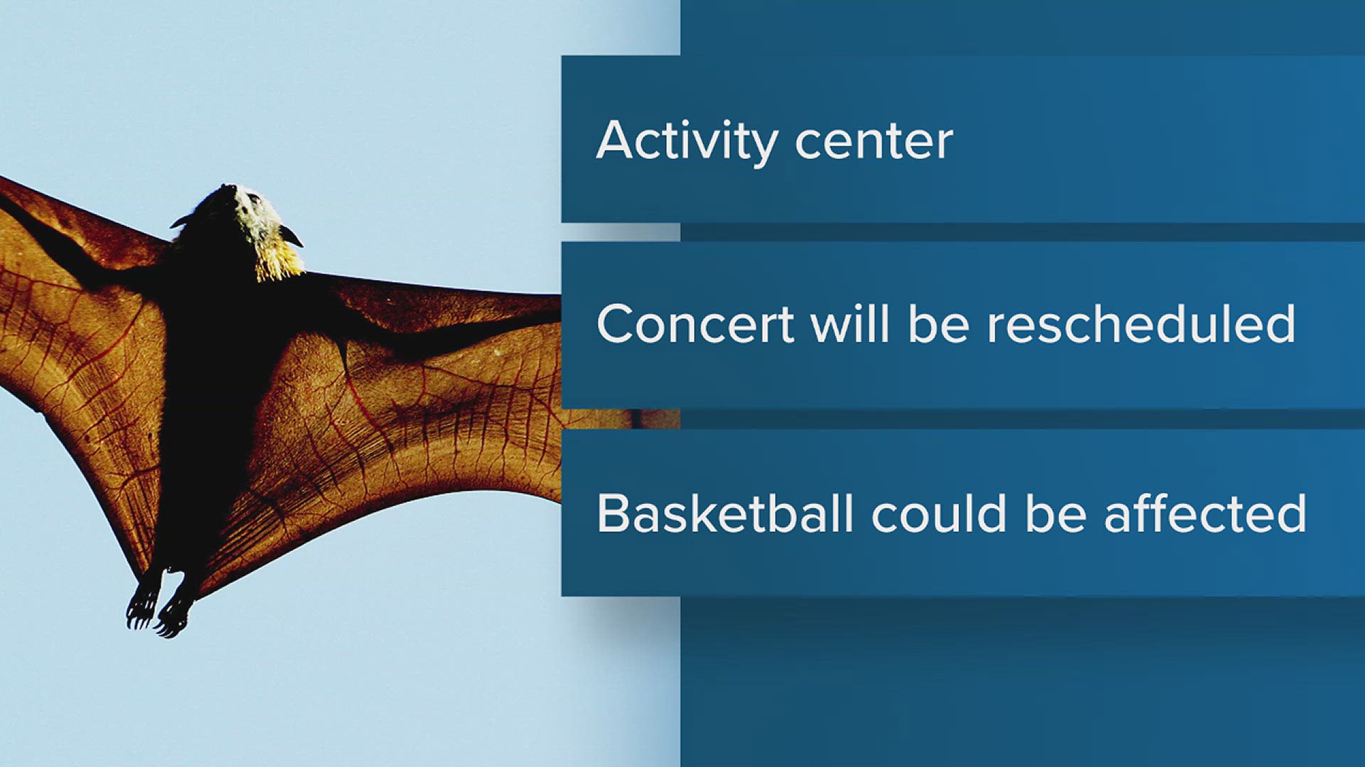 The massive bat infestation has prompted the district to get experts to remove the colony. This will impact school activities through the holiday season.