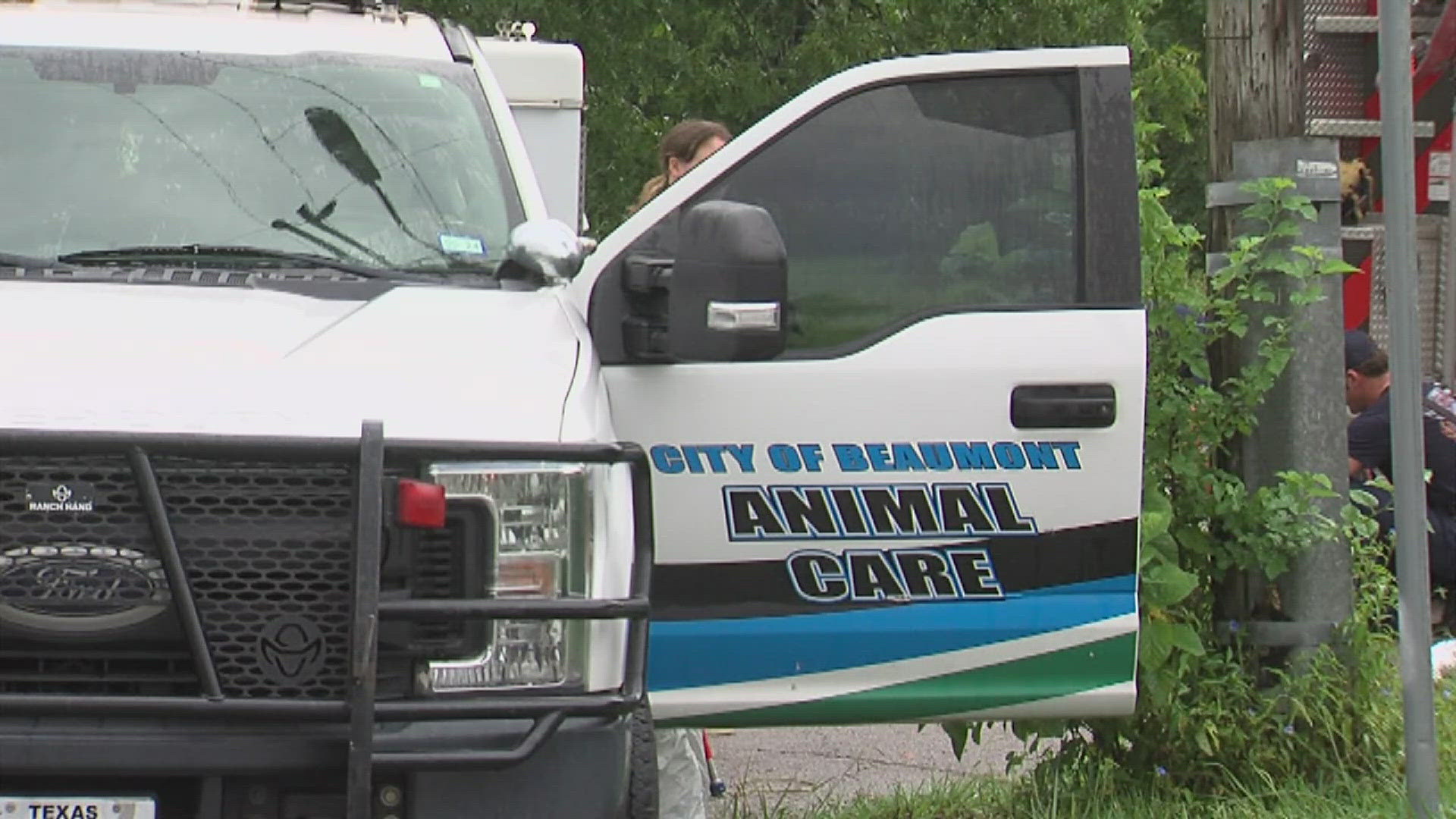 When police officers made a "welfare check" they found two dozen dogs in the home so they called for assistance from Beaumont Animal Care.