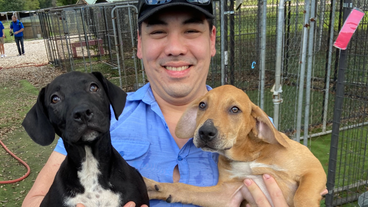 12News is spending Saturday 'Clearing the Shelters' at the Humane Society of Southeast Texas