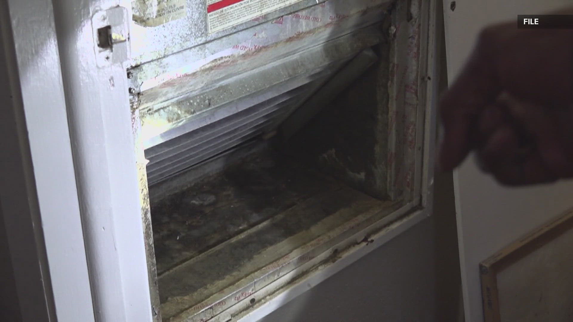 12News first reported Brandie Richard's story when an at-home test kit revealed mold growth in her unit at the Sunset Grove Apartments.