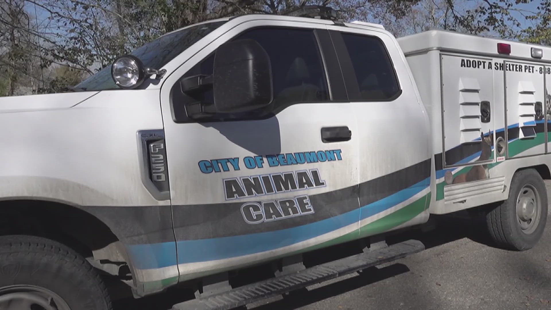 Three taken to hospital after being bitten by a dog in Beaumont on