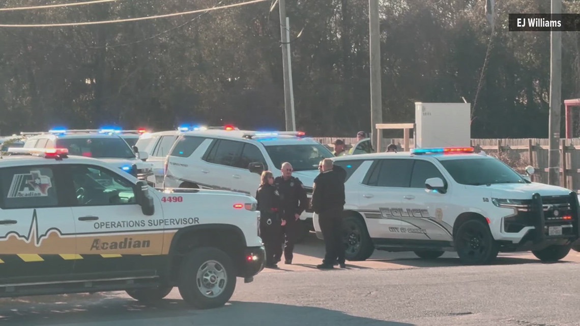 High-speed chase from Calcasieu Parish to Orange ends in crash; driver arrested