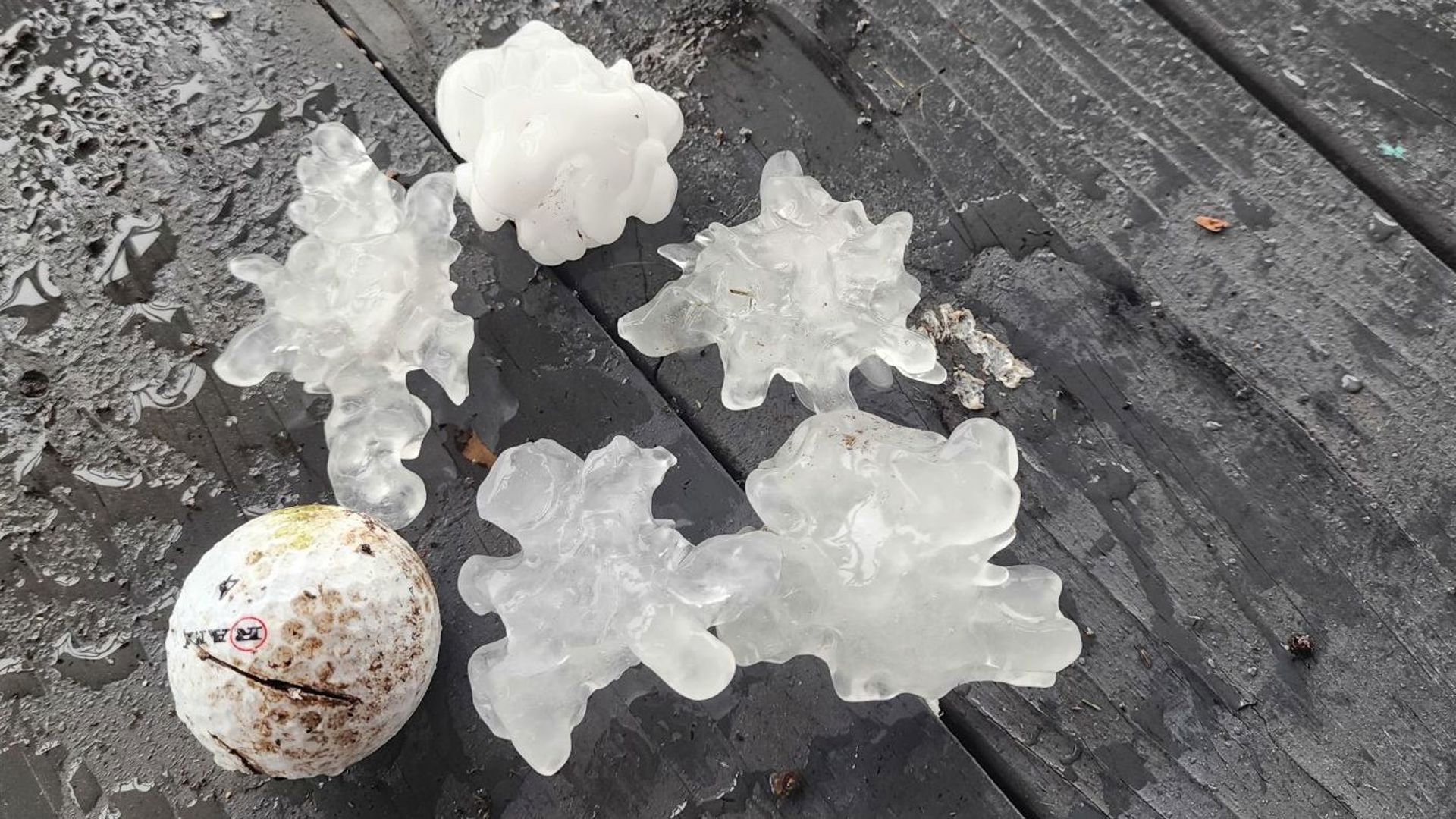 Large hail pummels SETX | 12newsnow.com