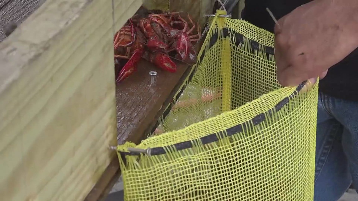 It’s crawfish time | Early season brings big demand across Southeast Texas