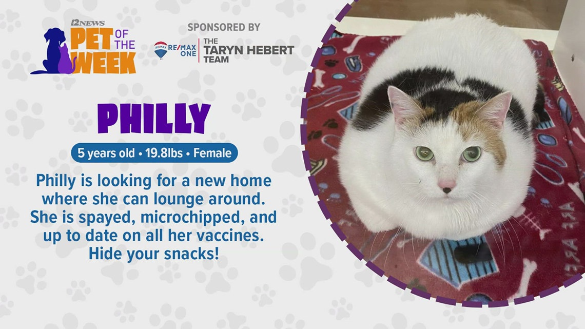 A 5-year-old kitty named 'Philly' is this week's Pet of the Week ...