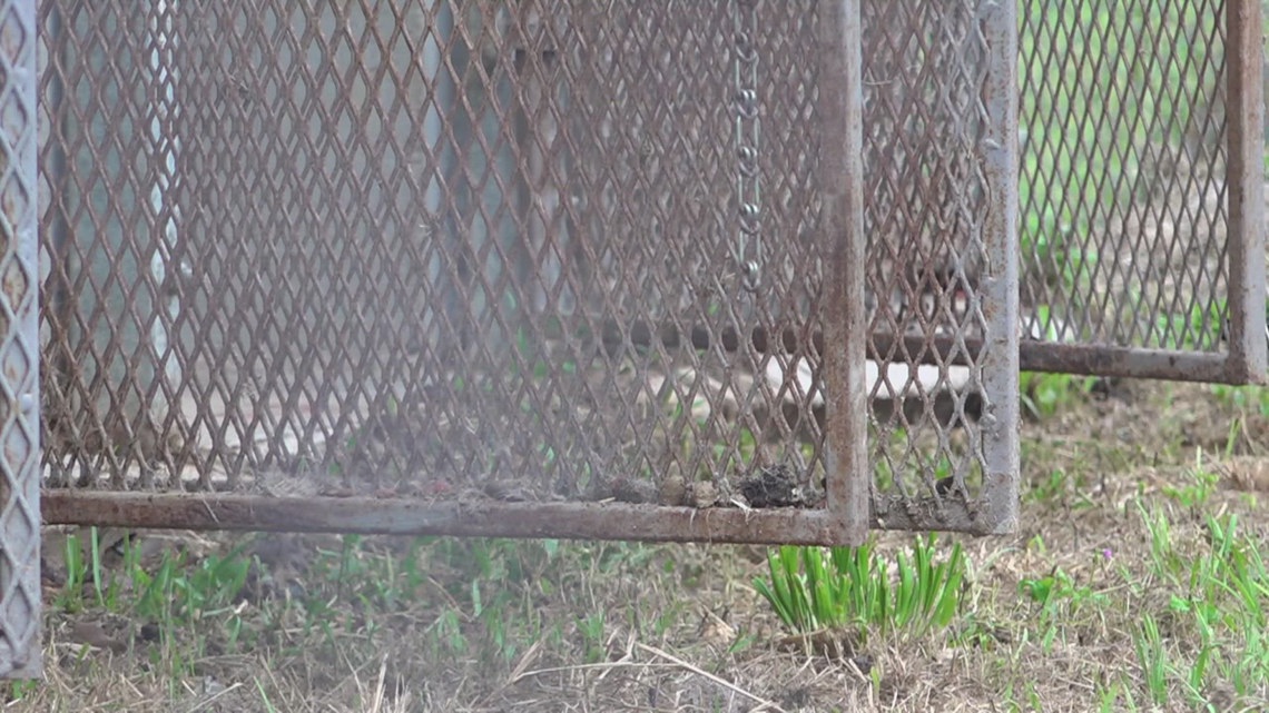 Hardin County residents rally for countywide animal shelter amid rise in strays, resource concerns