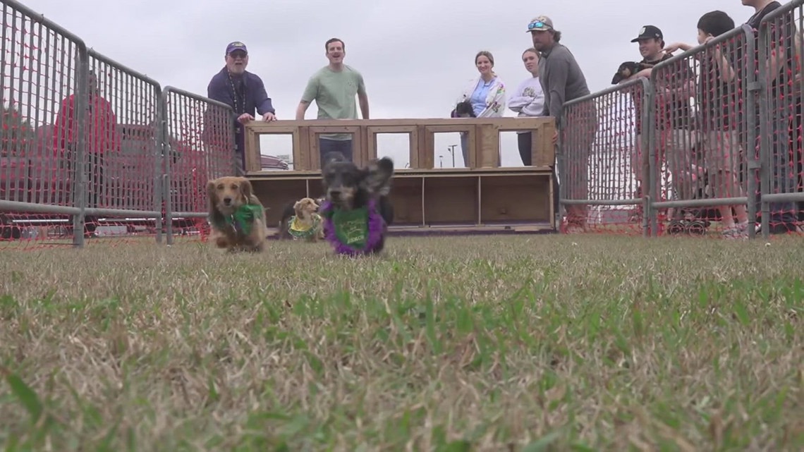 Rain can't stop festive spirit at Mardi Gras Southeast Texas in Doggett Ford Park