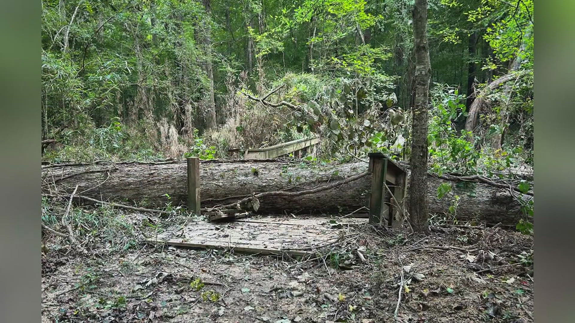 Birdwatchers, Woodlands and Big Sandy trails are all closed as crews work to clean them.