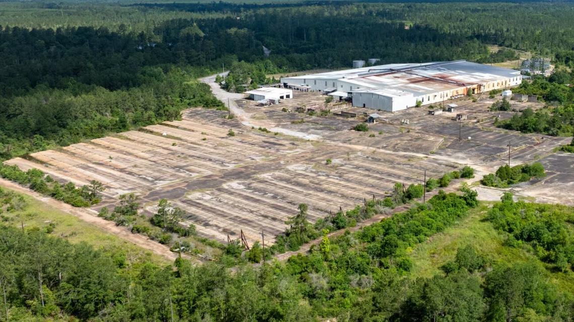 USA BioEnergy picks partners for .8B Texas biorefinery