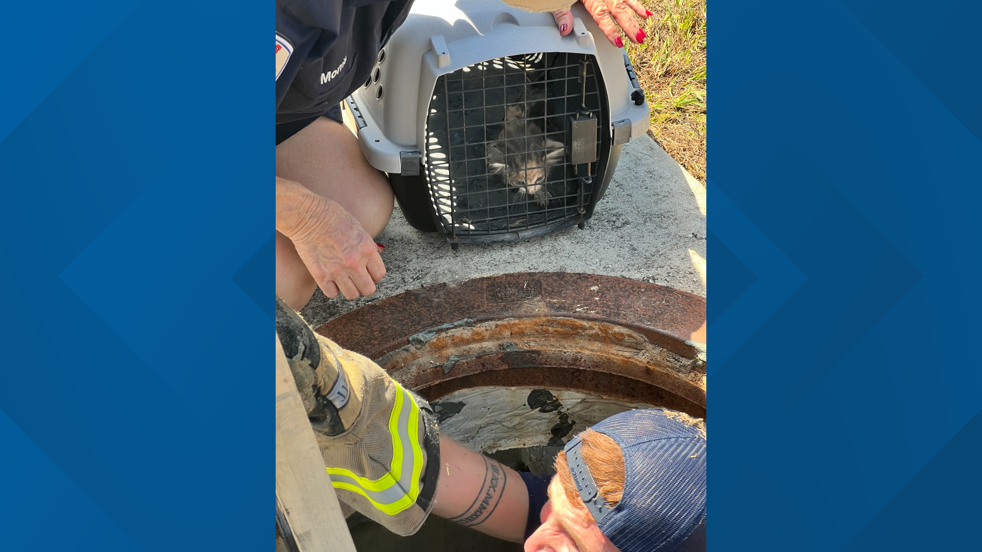 Firefighter rescues kitten from drain pipe | 12newsnow.com