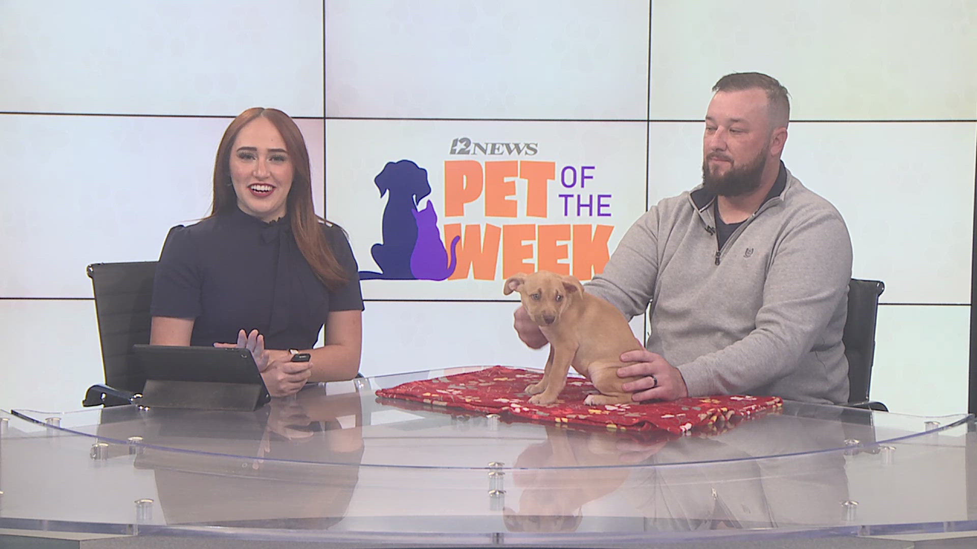 Humane Society shelter director Taylor Westphal brought a special guest for 12News. Westphal shares the importance of adopting a pet from located in your local area.