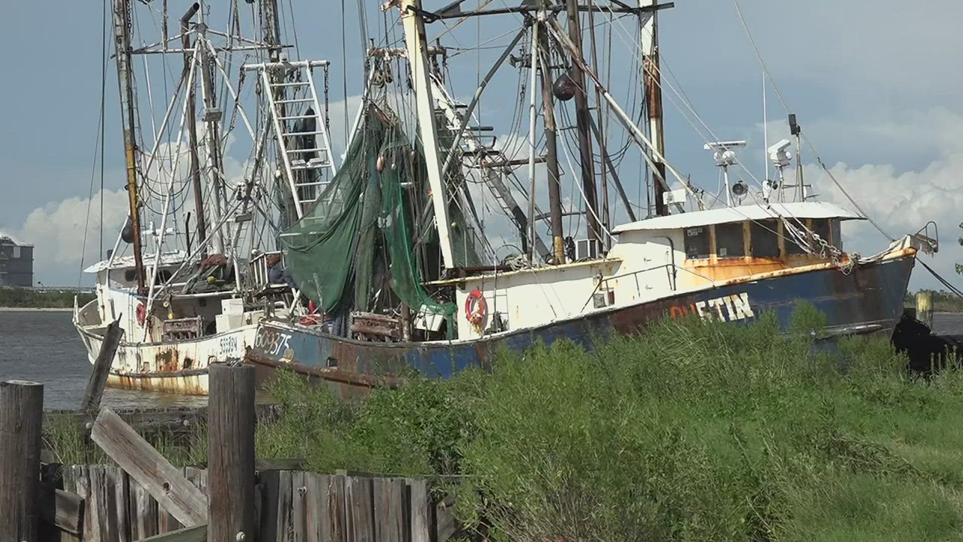 Southeast Texas shrimpers have voiced their frustrations with the influx of cheaper imported shrimp in the past, but local shrimpers say that isn't the only culprit.