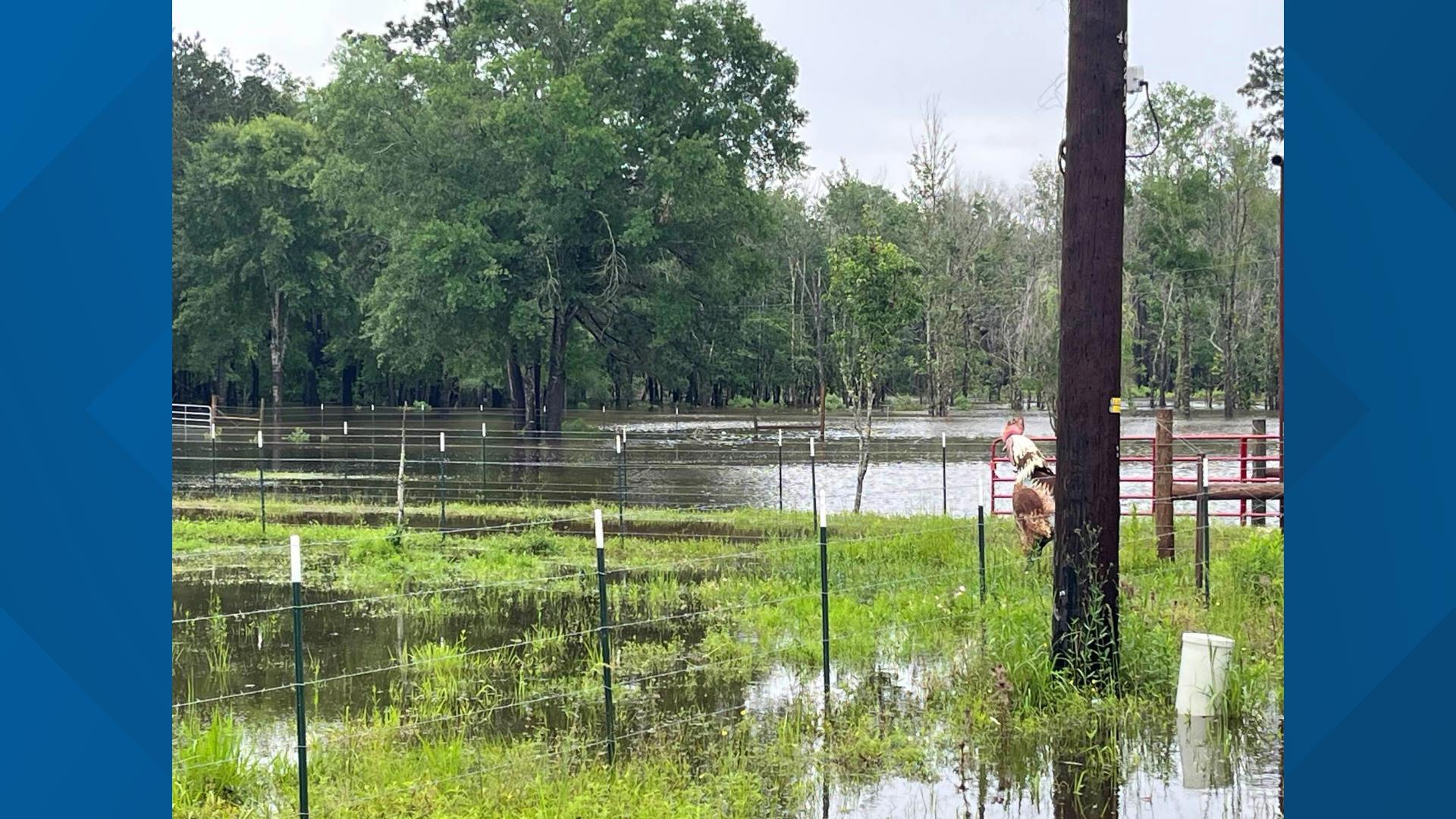 Storms, heavy rain delay classes in Southeast Texas | 12newsnow.com