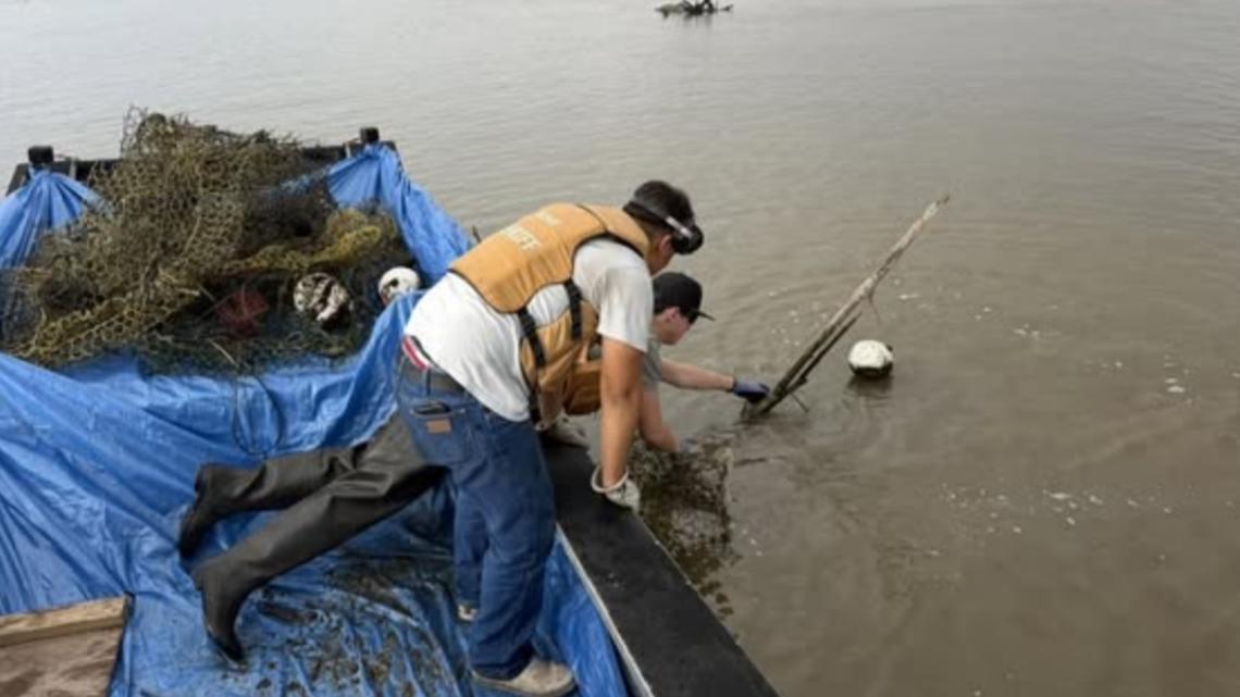 Chambers County Sheriff's Office tackles 'ghost traps' to protect Galveston Bay wildlife