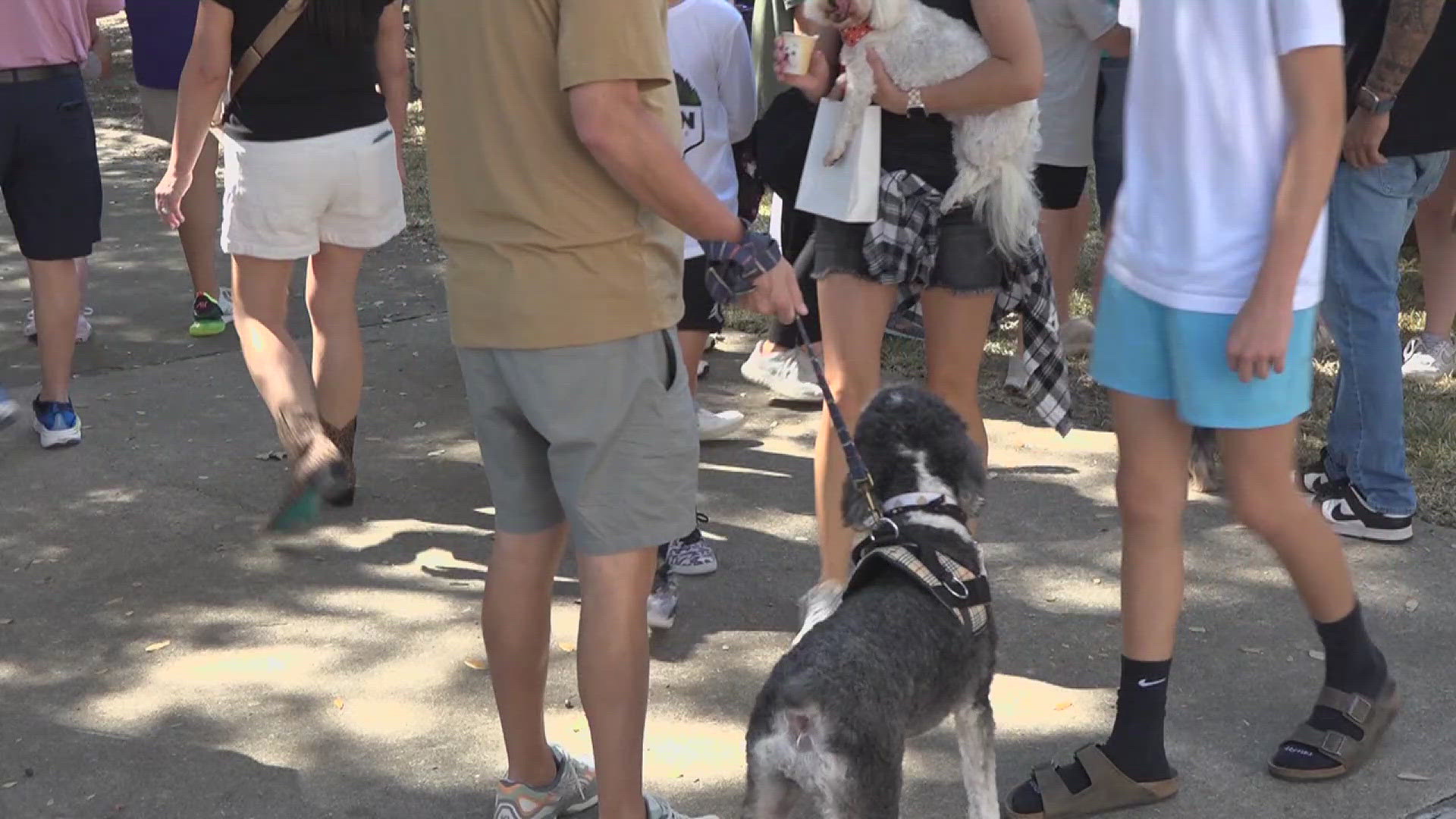 Dog lovers enjoyed an afternoon of games, arts and crafts, and food