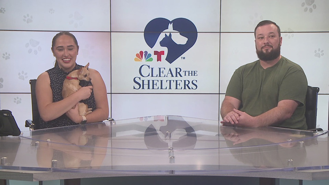 Humane Society of Southeast Texas promotes adoptions during August's Clear the Shelters campaign
