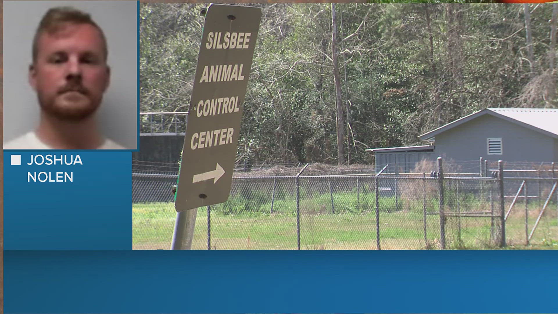 Former Silsbee animal control officer faces new charge in shelter dog ...