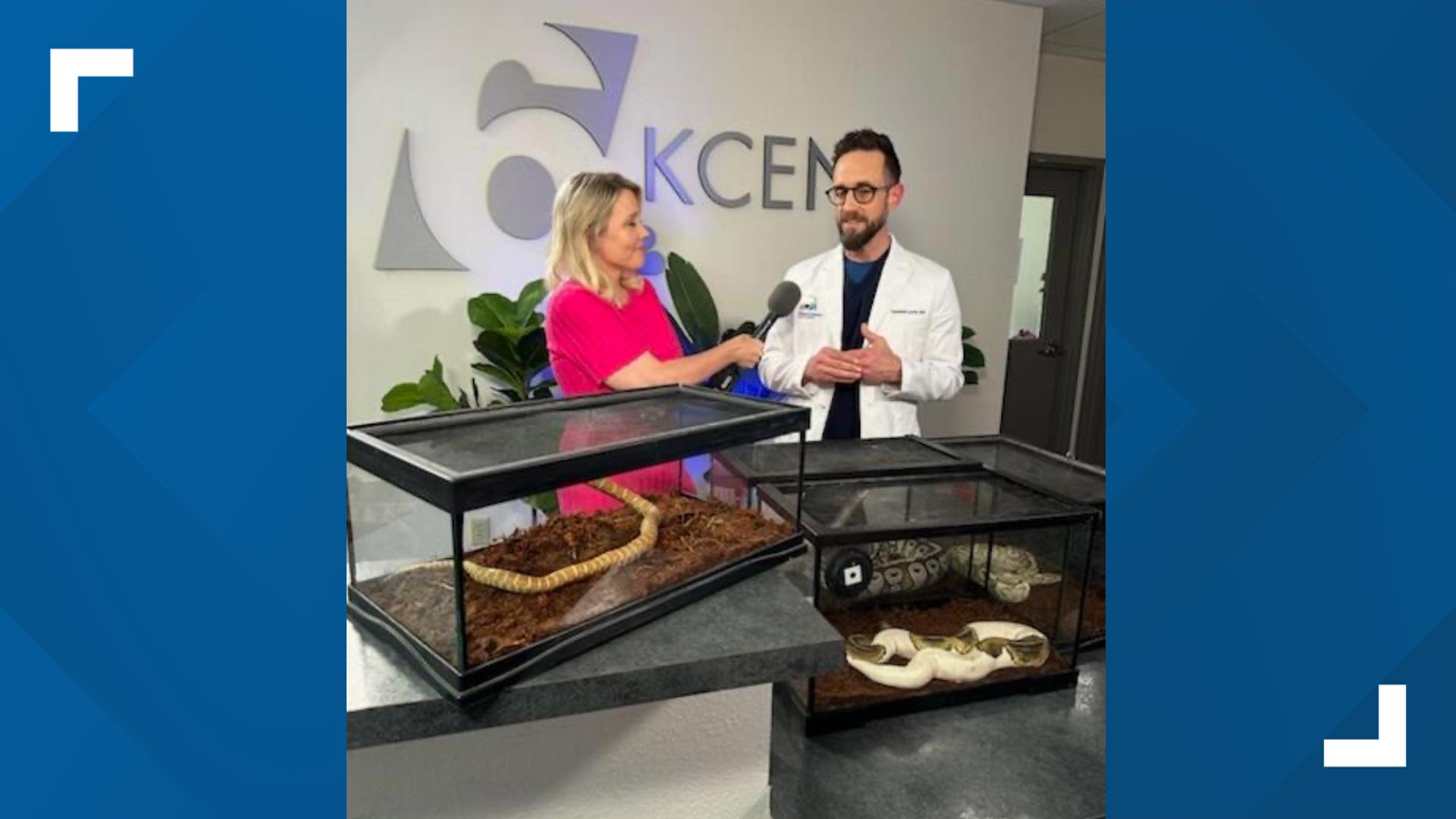 Temple rescue The Penrod Flock introduces 6 News to some of their snakes and Dr. Lucia discusses snake safety in Central Texas.