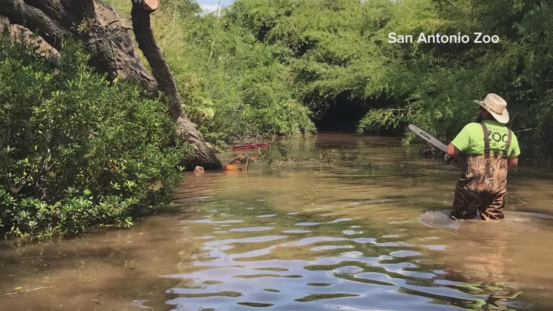 The zoo is mobilizing a support unit to the main impact zone of Hurricane Ian in Punta Gorda, as part of the Zoological Disaster Response, Rescue, and Recovery.