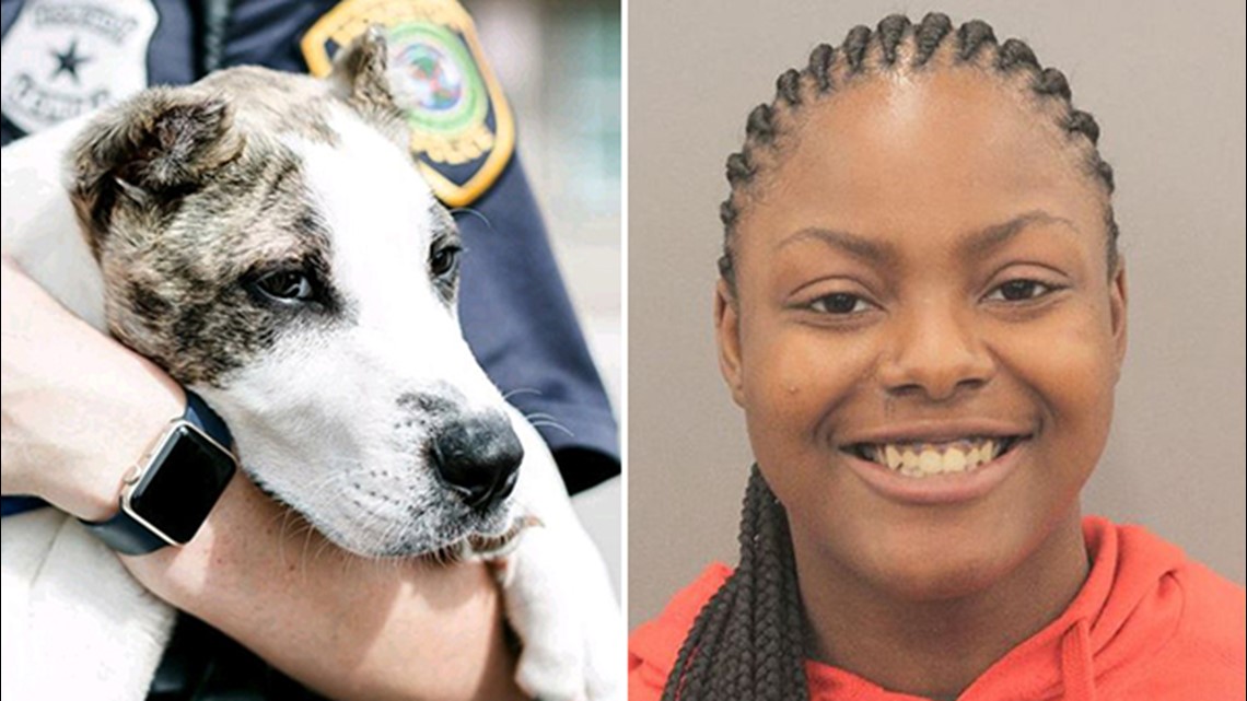 Houston woman charged with animal cruelty for kicking dog | 12newsnow.com