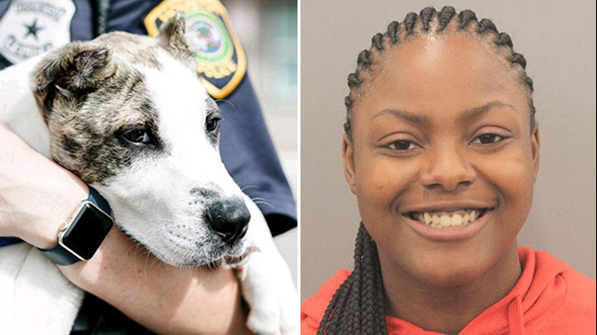Houston woman charged with animal cruelty for kicking dog | 12newsnow.com