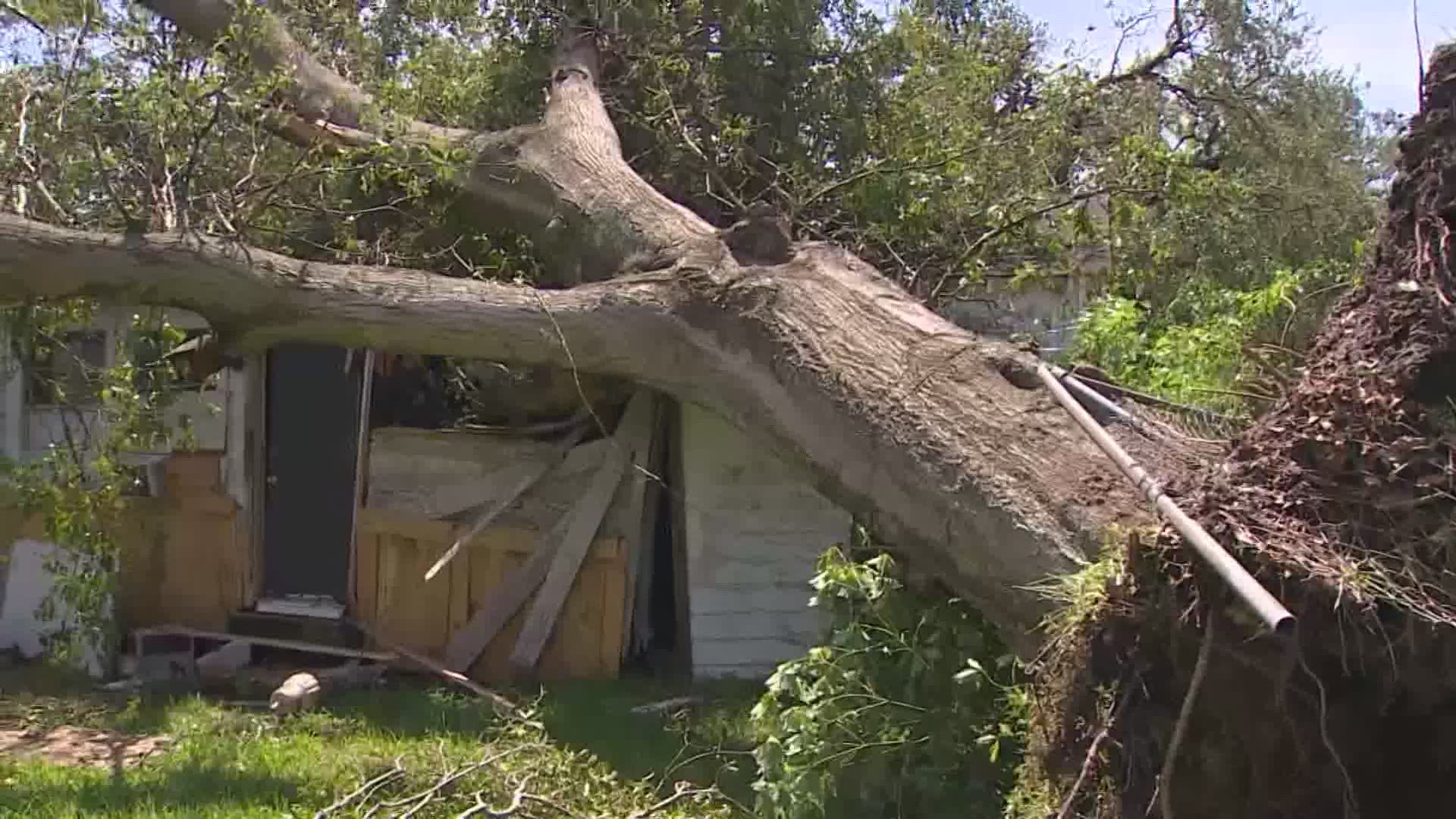 Trees uprooted and damaged homes and buildings in Orange, Texas, as Hurricane Laura ripped through early Thursday morning.