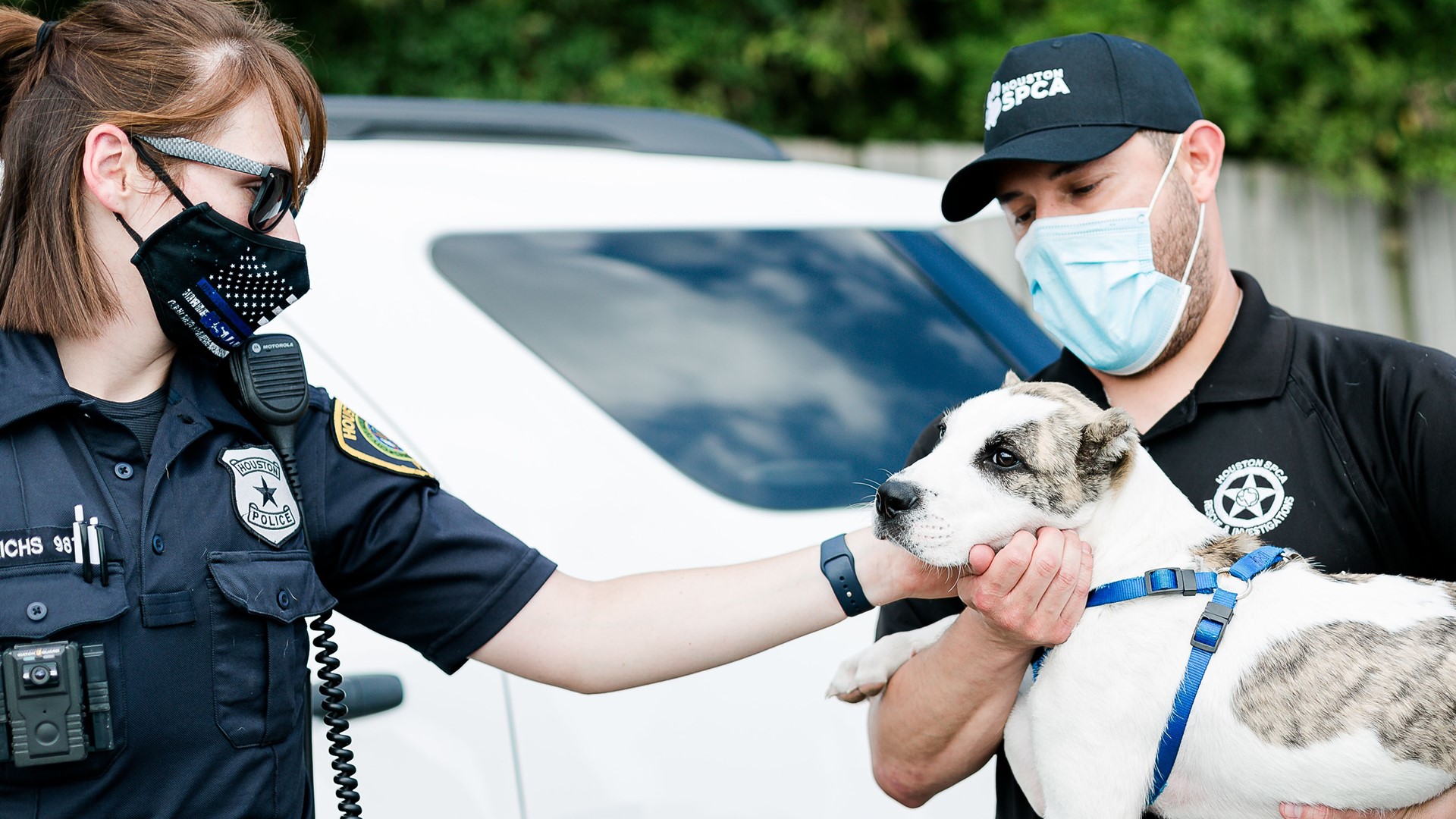 Houston woman charged with animal cruelty for kicking dog | 12newsnow.com