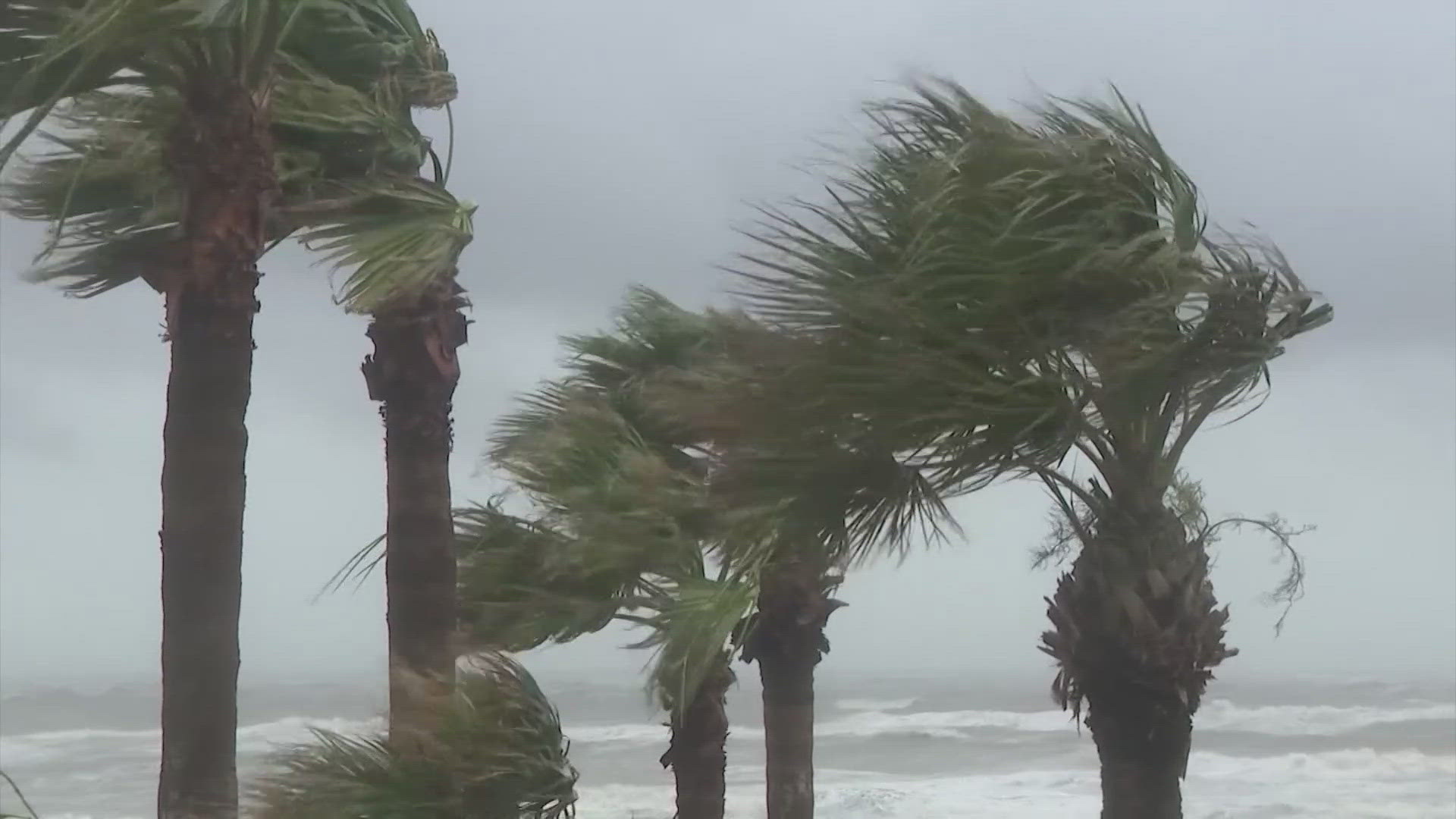 The Texas Division of Emergency Management will activate or have the several state emergency resources on standby Monday morning.