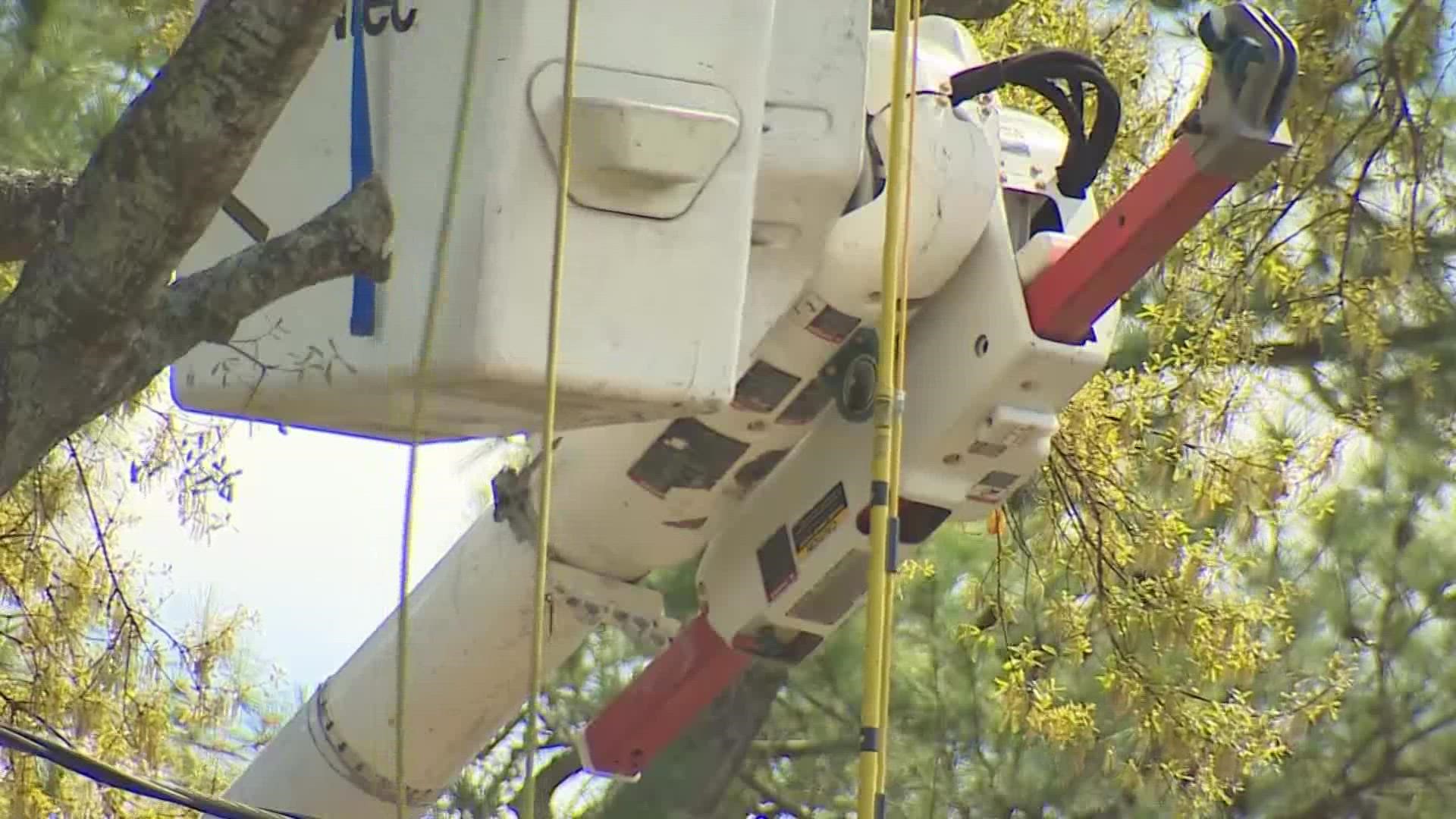 A tree trimmer died Monday after being electrocuted while working in northwest Harris County.