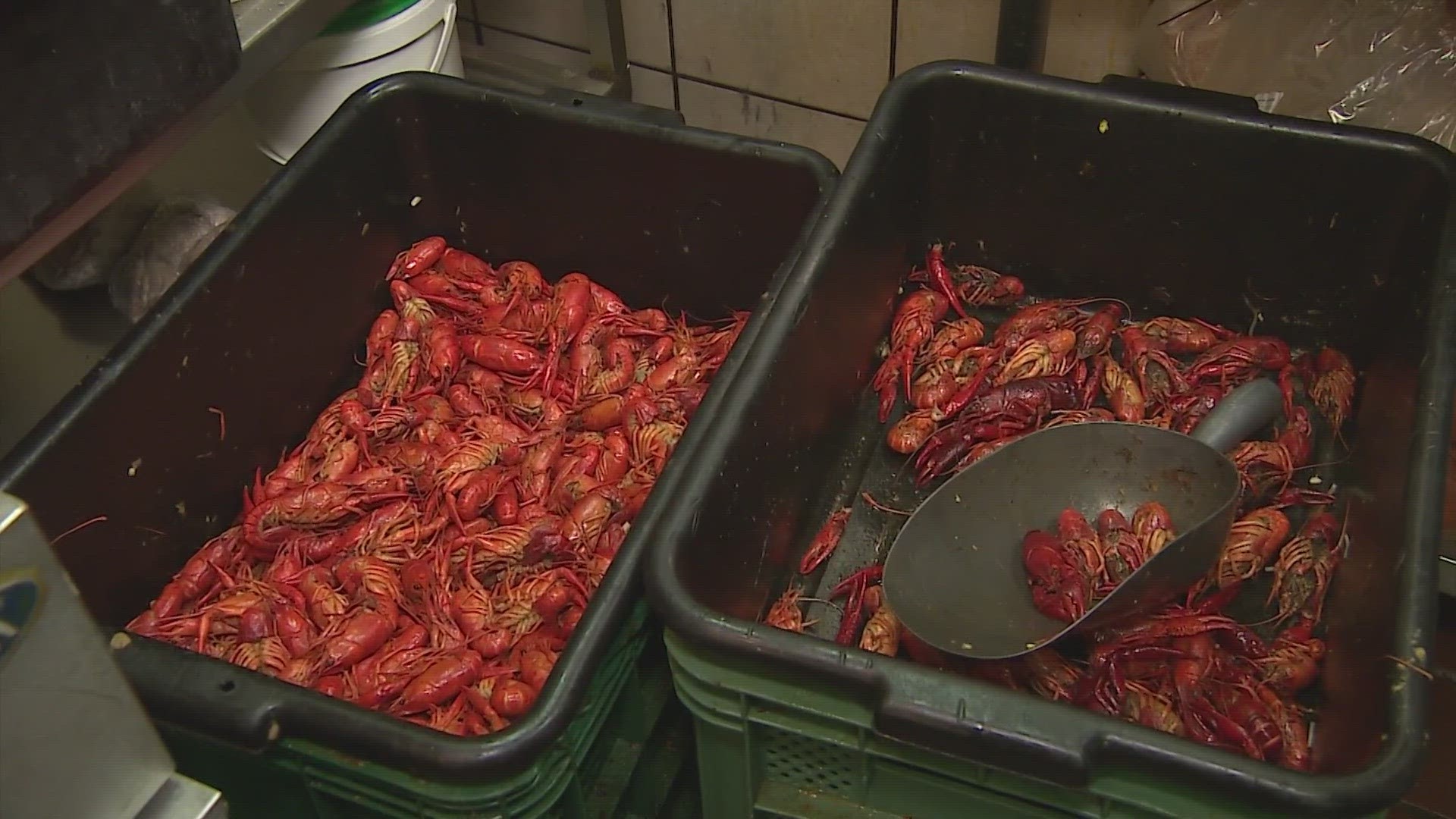 It's crawfish season but you'll have to shell out more cash for those juicy little mudbugs this year!