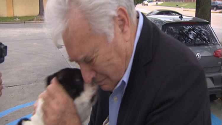 'The greatest gift' | Man reunited with dog two days after it was allegedly stolen in Spring
