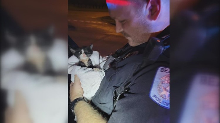 'Feel Good Friday' | Beaumont police save kitten from storm drain ahead of Friday's storms