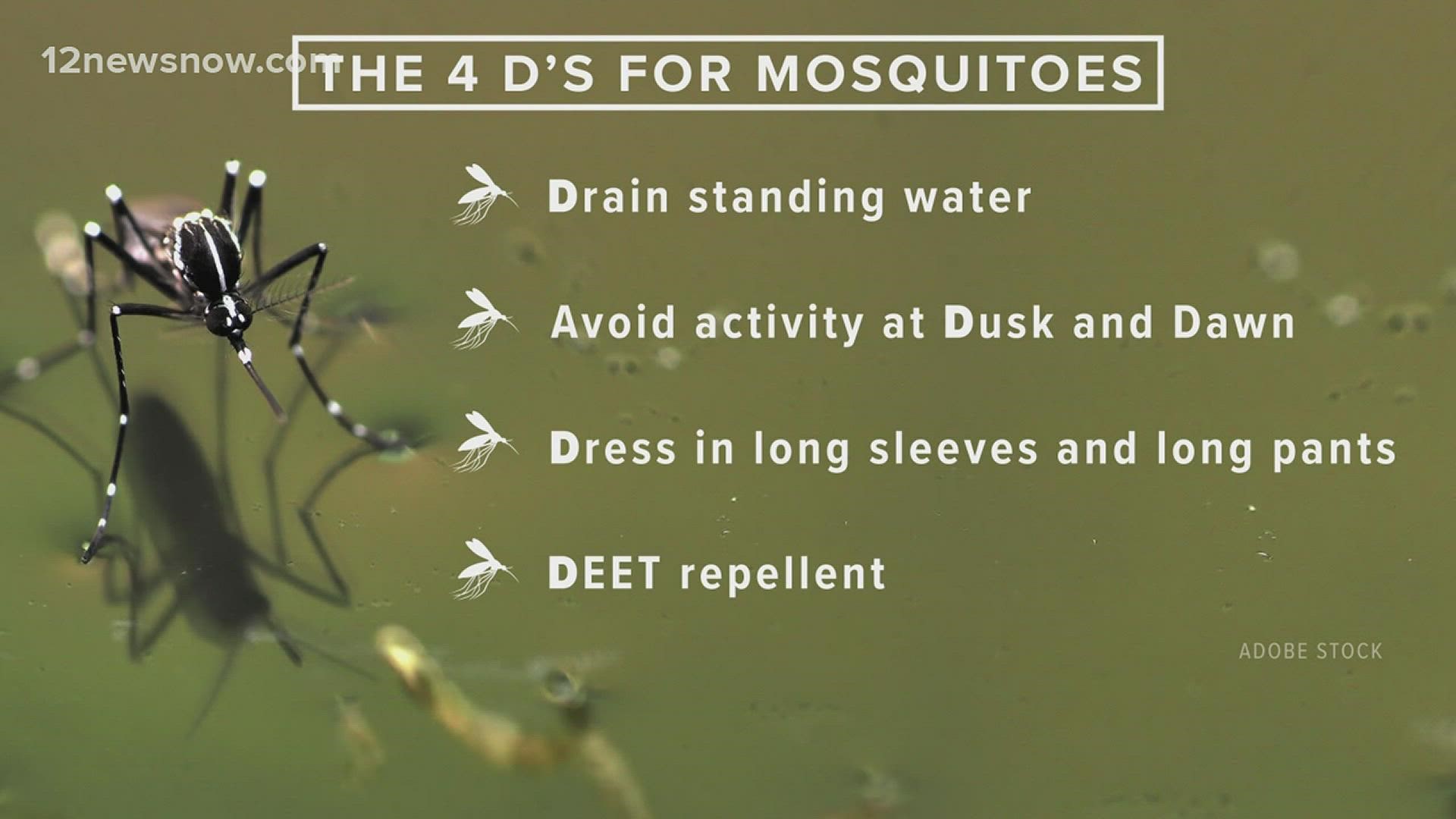 If you have any standing water in your yard, that's the perfect breeding ground for these pests. They are more than just pesky. The mosquito can be downright deadly.