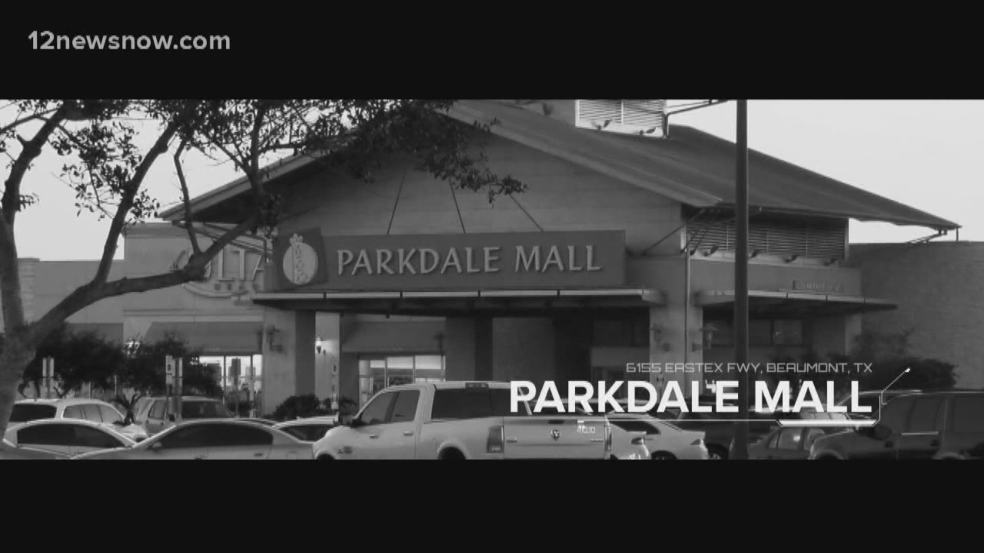 Parkdale Mall had the most calls for service.