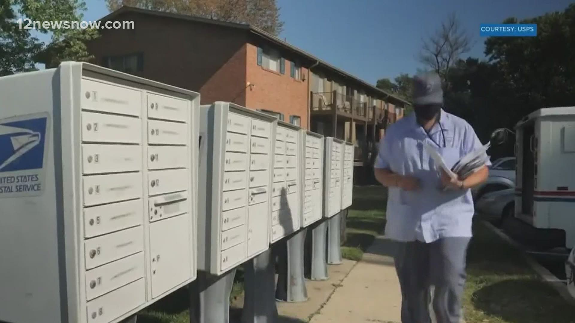 Texas mailin ballots information